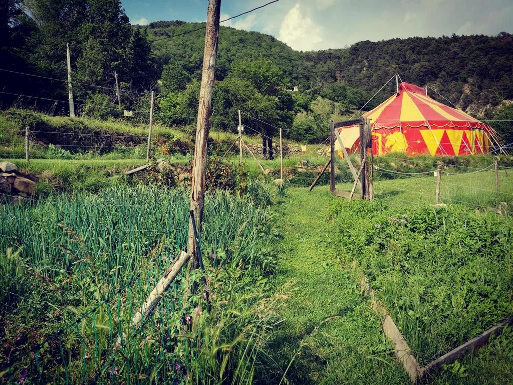 Le potager et le chapiteau à Pélasque Supérieur